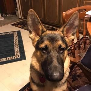 Meet your Posher, Vonda